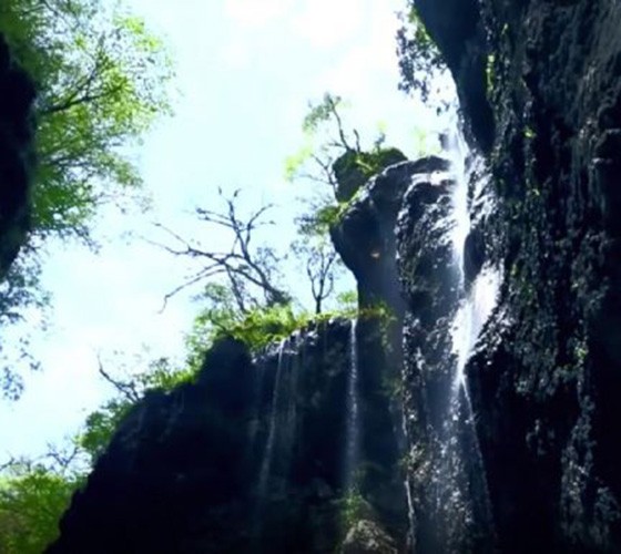 青山綠水，白龍江畔江畔息白鷺，兩岸綠橄欖入眼的都是純樸自然枝上花開(kāi)，春來(lái)水暖魚(yú)蝦戲水，鳥(niǎo)語(yǔ)花香心中充滿(mǎn)著舒暢之感祥宇生態(tài)產(chǎn)業(yè)園，位于隴南市武..